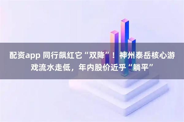 配资app 同行飙红它“双降”！神州泰岳核心游戏流水走低，年内股价近乎“躺平”