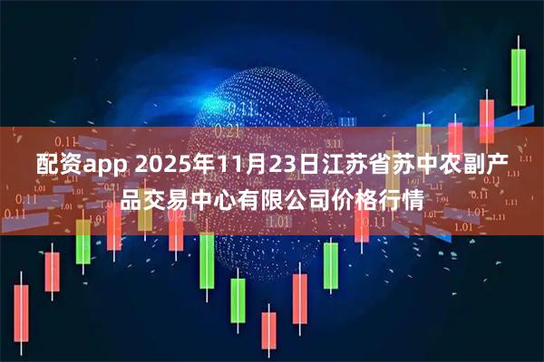 配资app 2025年11月23日江苏省苏中农副产品交易中心有限公司价格行情