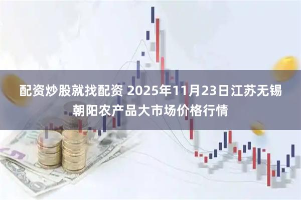 配资炒股就找配资 2025年11月23日江苏无锡朝阳农产品大市场价格行情