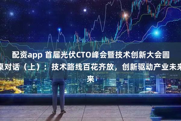 配资app 首届光伏CTO峰会暨技术创新大会圆桌对话（上）：技术路线百花齐放，创新驱动产业未来