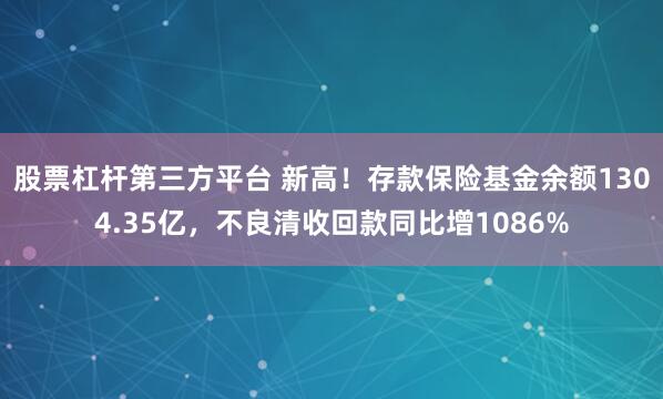 股票杠杆第三方平台 新高！存款保险基金余额1304.35亿，不良清收回款同比增1086%